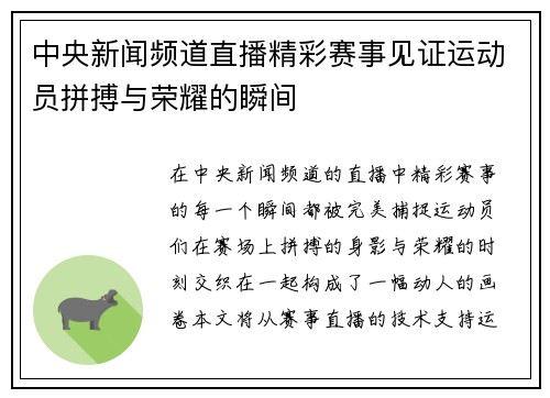 中央新闻频道直播精彩赛事见证运动员拼搏与荣耀的瞬间