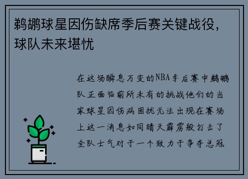 鹈鹕球星因伤缺席季后赛关键战役，球队未来堪忧